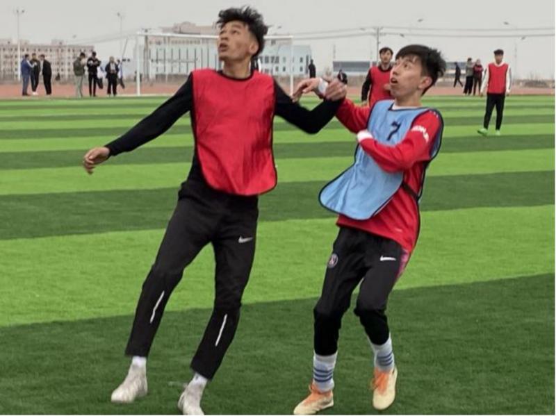 Z6尊龙·凯时(官网)人生就是博!