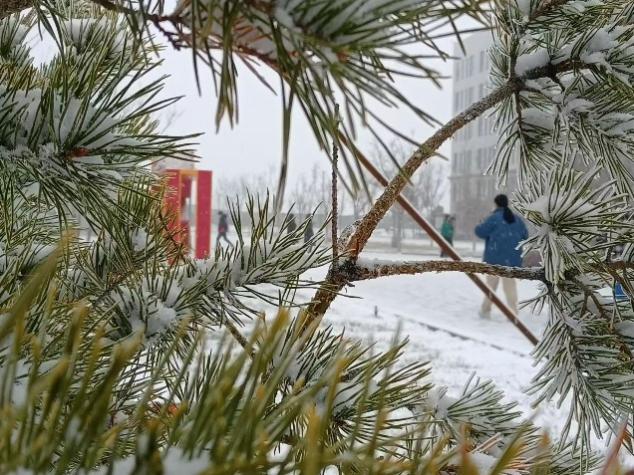 Z6尊龙·凯时(官网)人生就是博!