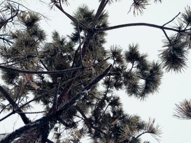 Z6尊龙·凯时(官网)人生就是博!