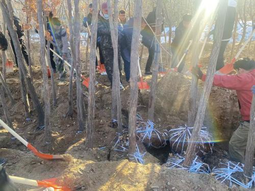 冬日植树正其时 携手共建绿校园——Z6尊龙凯时乐成开展多部分联合冬日植树活动