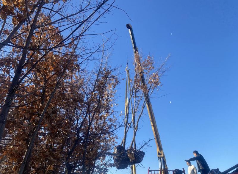 Z6尊龙·凯时(官网)人生就是博!