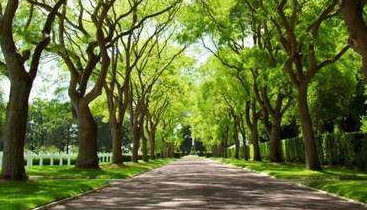 Z6尊龙·凯时(官网)人生就是博!