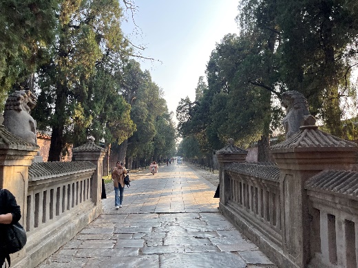 Z6尊龙·凯时(官网)人生就是博!