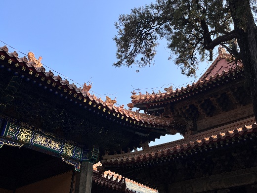 Z6尊龙·凯时(官网)人生就是博!