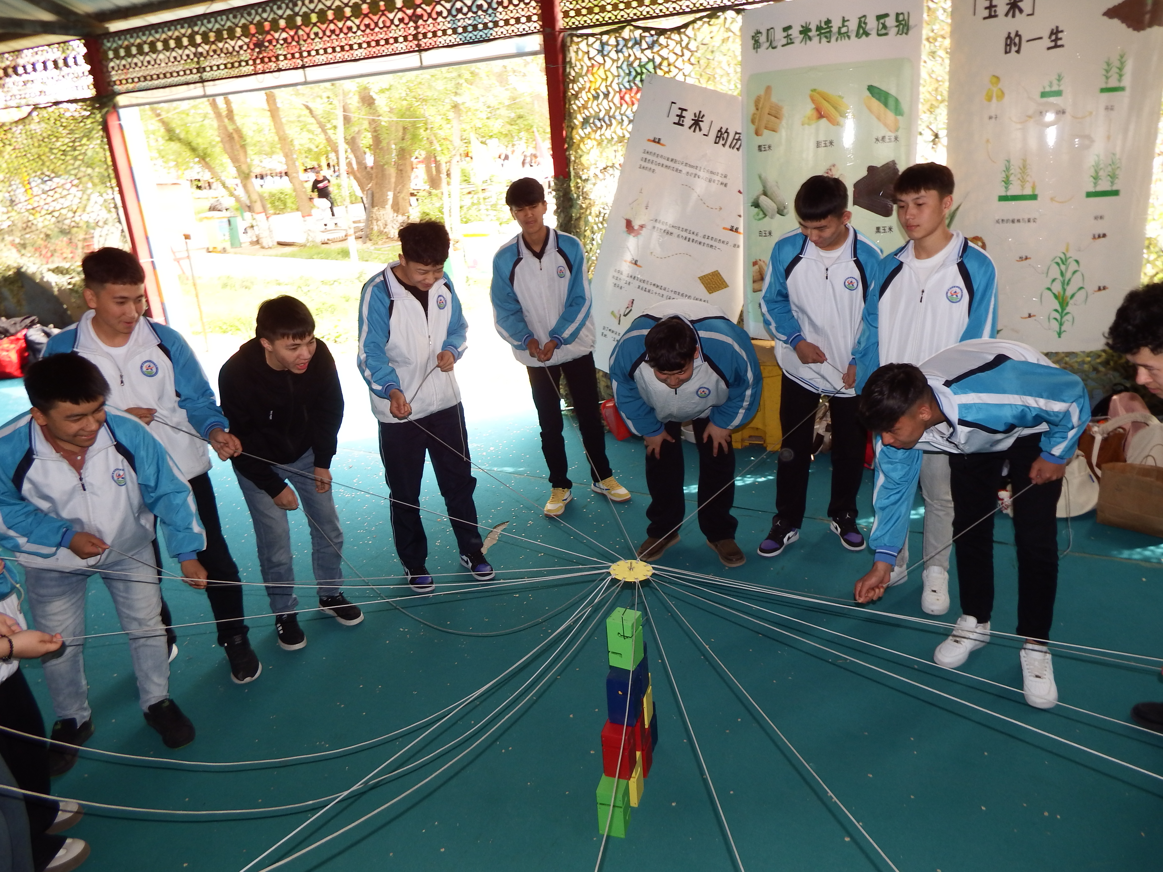 Z6尊龙·凯时(官网)人生就是博!