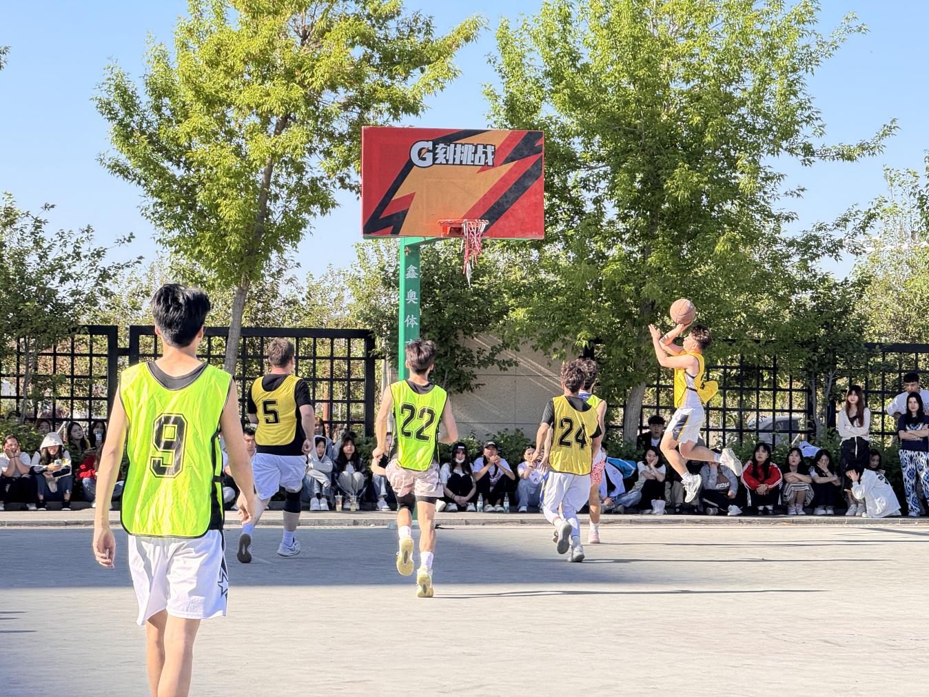 Z6尊龙·凯时(官网)人生就是博!