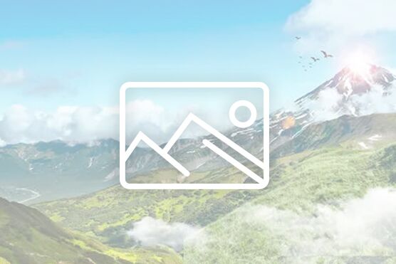 共筑中国梦，实践公益行